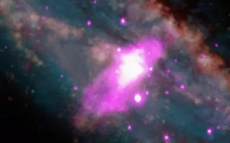Chandra Determines What Makes a Galaxy's Wind Blow
