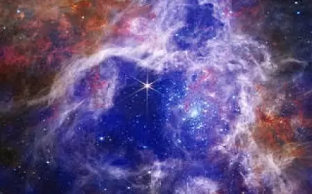 The Enduring Stellar Lifecycle in 30 Doradus